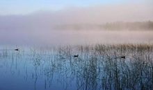 佛经中劝人心静的句子