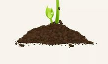 有哲理的正能量句子