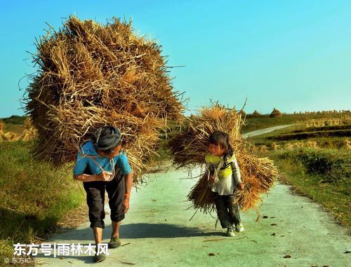 初恋就像路边的美丽风景