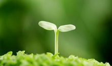 写亲情之间的感动句子