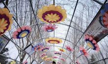 妈妈对儿子失望的句子