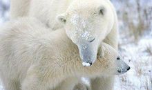 有关亲情的美句子