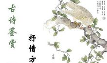 带间接抒情的诗句