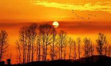 描写夕阳的古诗