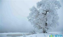 描写冬天的句子50条