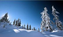 描写金佛山冬天的句子