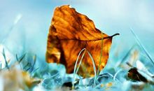 2019描写秋天景物的句子