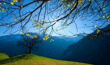 经典正能量的句子大全