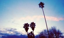 生活说说感悟生活