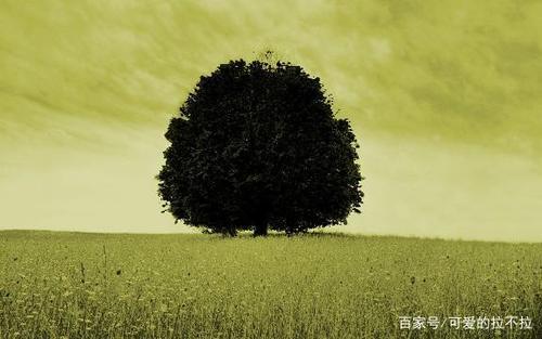 如果疯狗咬了你