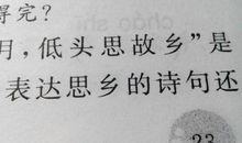 表达思乡情切的诗句
