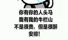 天冷的搞笑经典语录