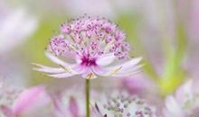 2019描写月亮好句子精选