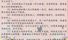 描写班级的优美句子