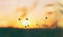 关于努力奋斗的说说