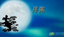 星星月亮宇宙的温柔句子
