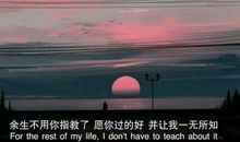 抖音里最火的句子