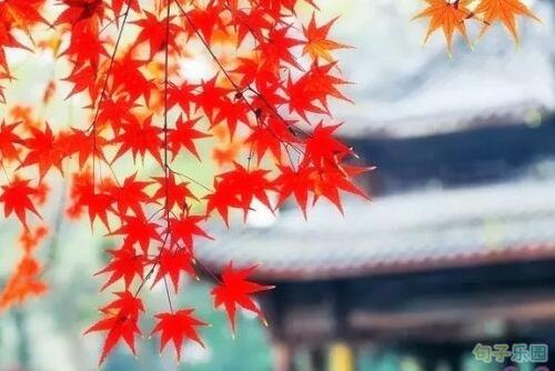 我希望最后我是一个白发苍苍的老太太