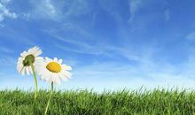 形容自己不开心的句子说说心情