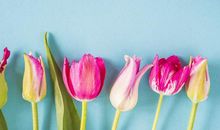 鼓励开心的句子