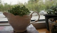 祝您每天开心的句子