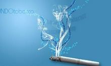 赞美秋天的文艺句子