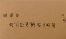 爱上你不后悔的句子