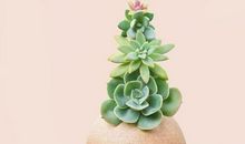 不开心分手感慨的句子说说心情