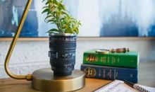 保持快乐的句子