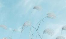 具有文艺色彩的赞美老师的句子