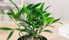 让好朋友开心的句子