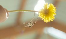 关于开心的句子大全