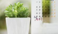 对亲情的感悟的句子说说心情短语