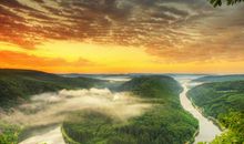 伤感被遗忘的句子