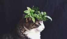 关于亲情重要性的句子