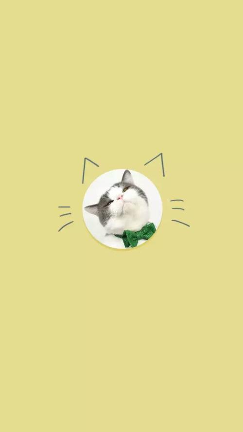 编辑整理了一些有关幸福表情的句子
