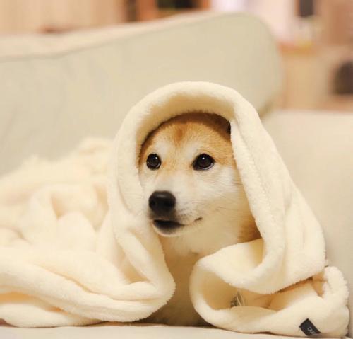 使快乐的句子非常简单