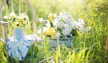 关于早安的唯美句子