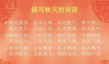描写秋天的风的句子