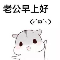 亲爱的