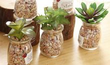 诗经里亲情的句子