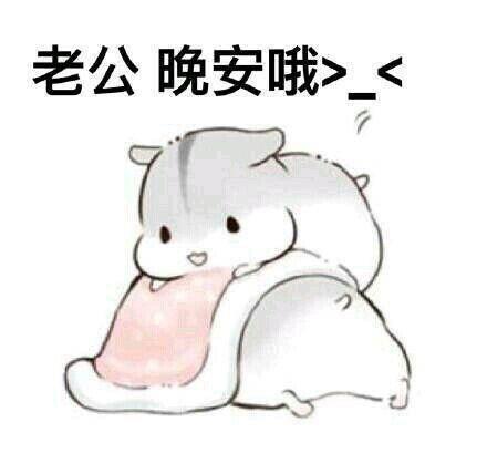你真好