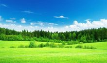 群发天气转凉短信问候语