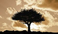 对亲人失望的句子说说心情