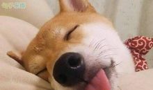 三八女神节搞笑句子