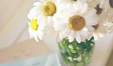 唯美意境的句子：音乐这东西，开心时入耳，伤心时入心