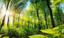 励志阳光暂时英语句子