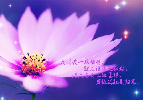 一定要爱自己