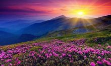 有关做人的座右铭