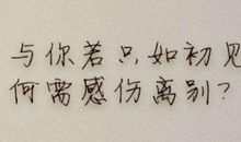 伤感的诗句越伤感越好